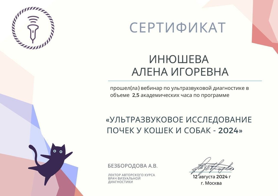 Документ или сертификат