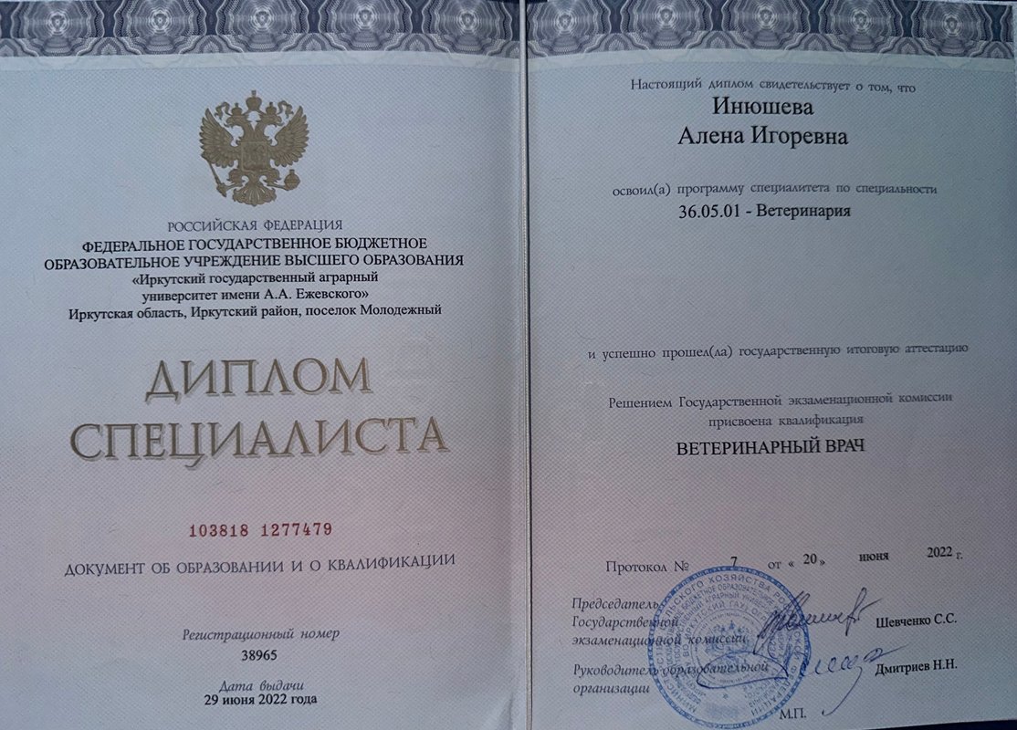 Документ или сертификат