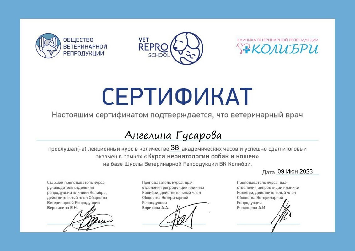 Документ или сертификат