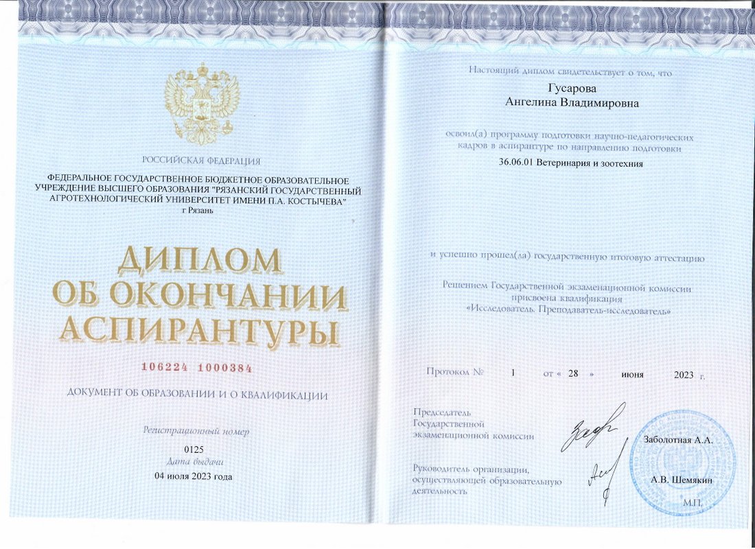 Документ или сертификат