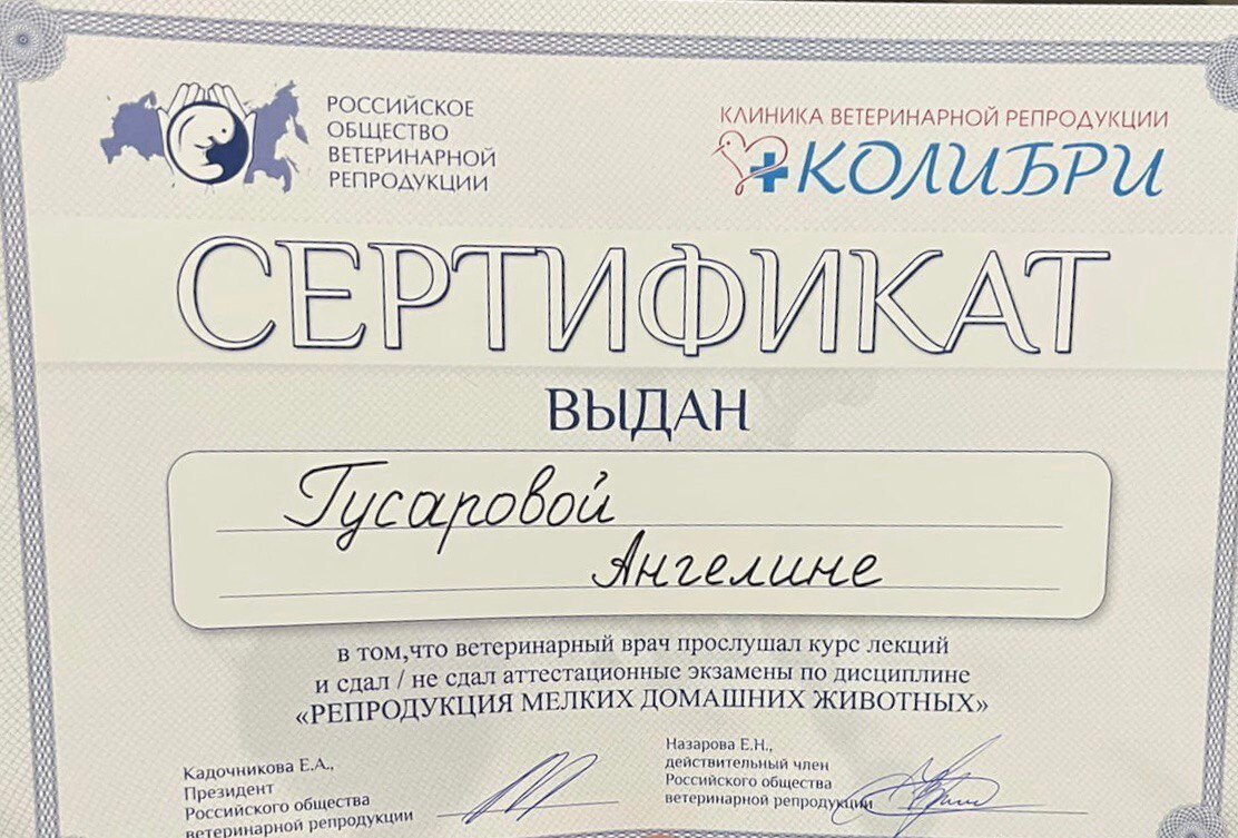 Документ или сертификат