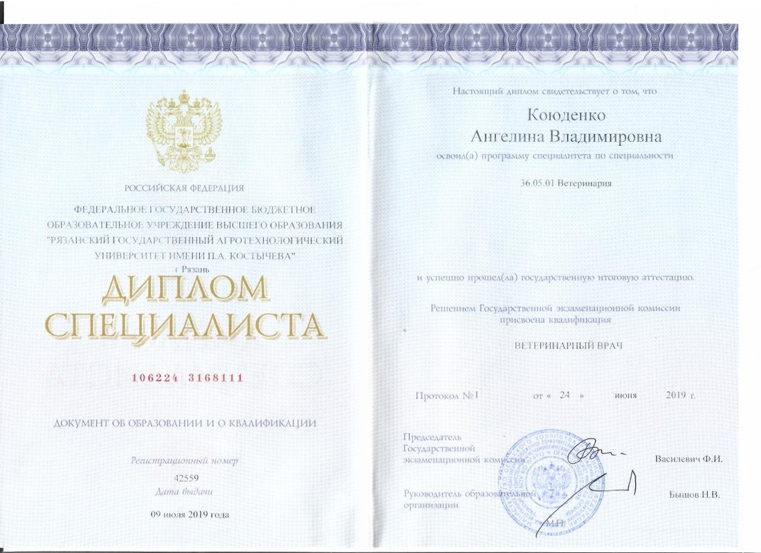 Документ или сертификат