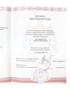 Фото врача Кретинина Дарья Константиновна