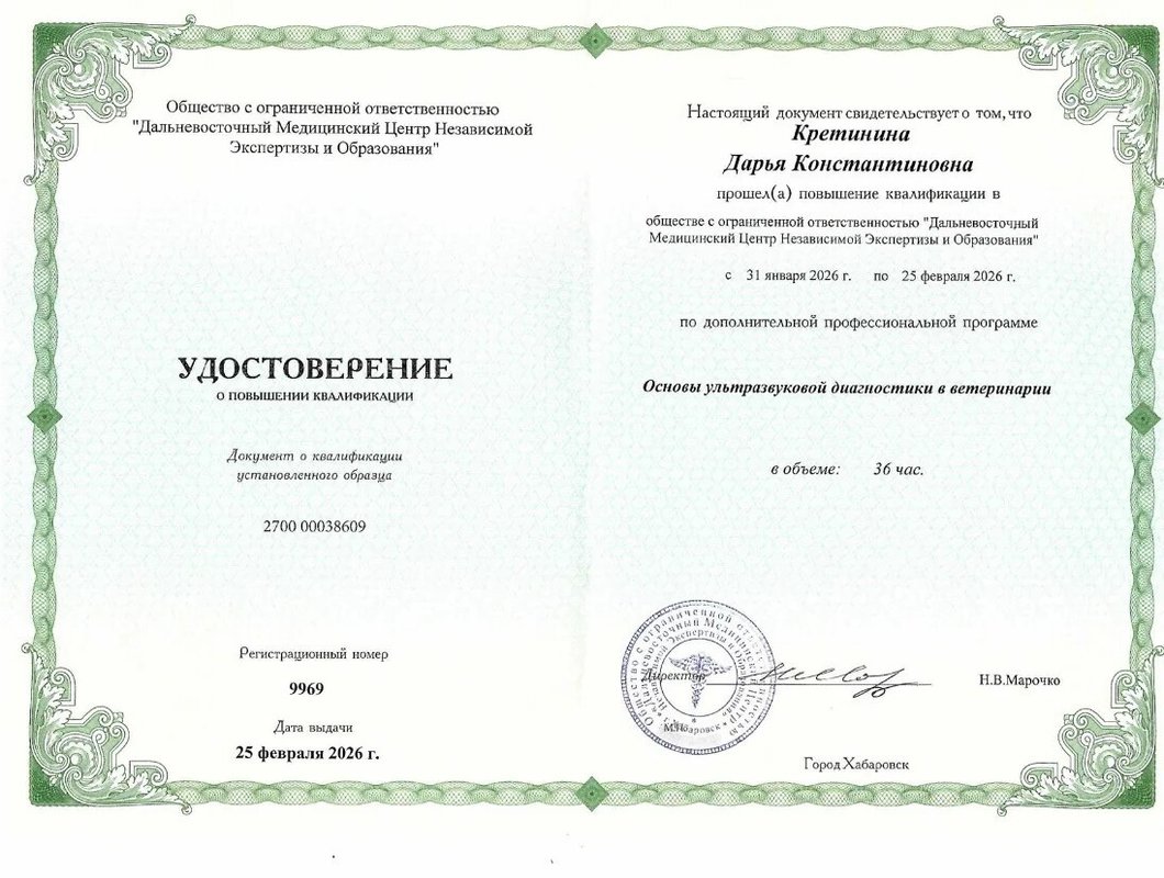 Документ или сертификат