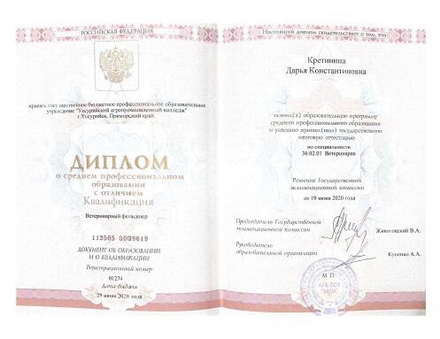 Документ или сертификат