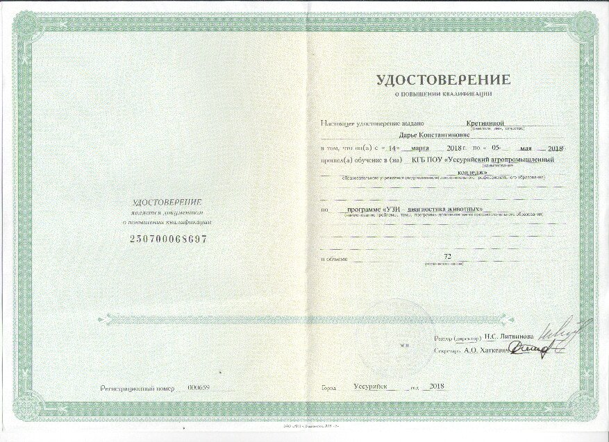 Документ или сертификат