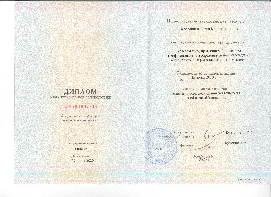 Документ или сертификат