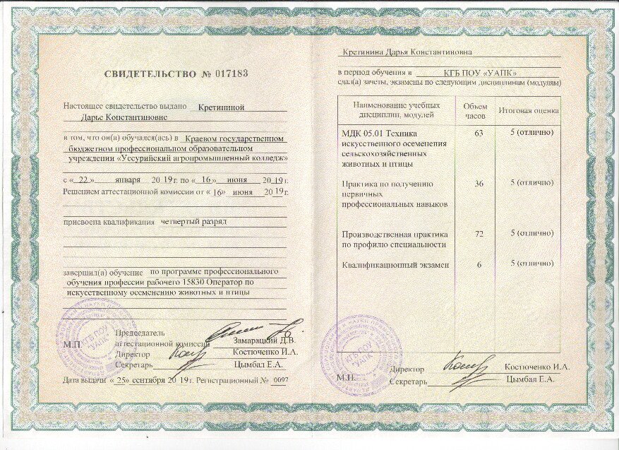 Документ или сертификат