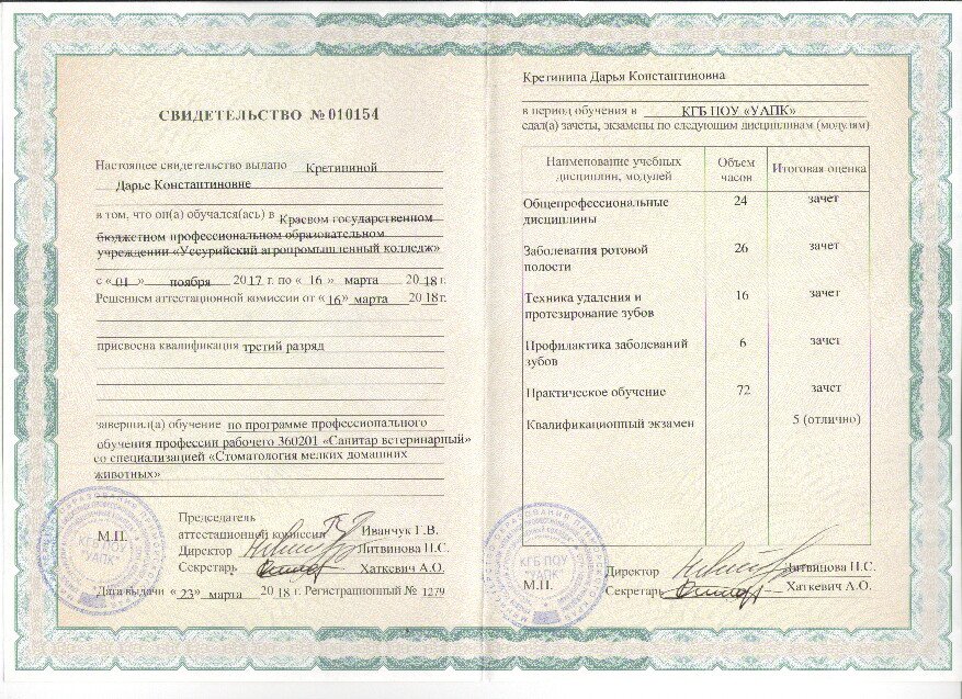 Документ или сертификат