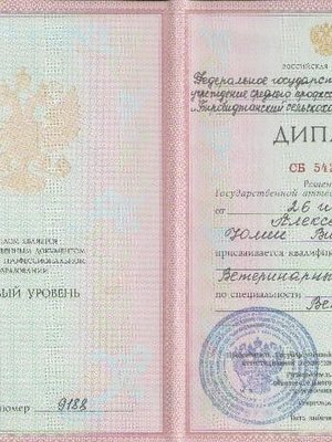 Фото врача Алексеева Юлия Витальевна