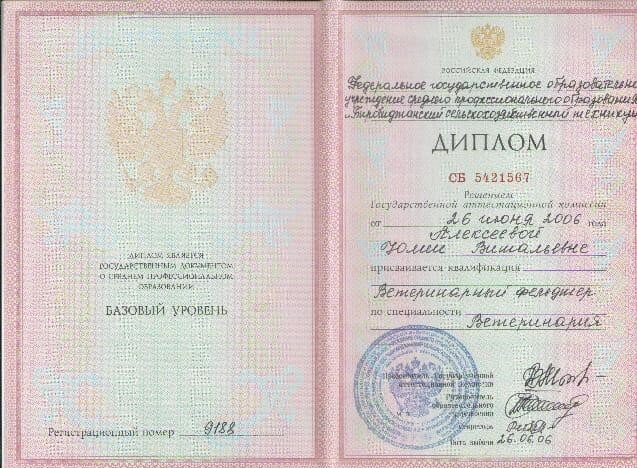 Документ или сертификат