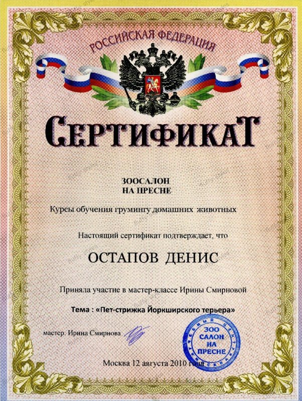 Документ или сертификат