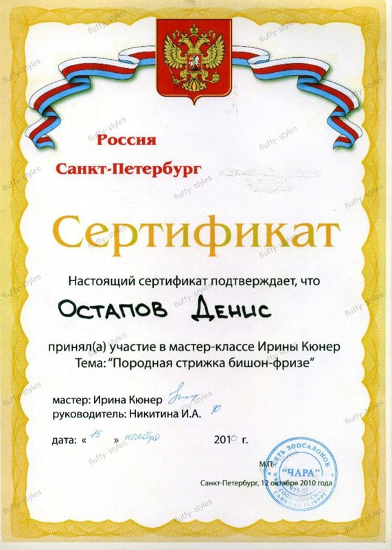 Документ или сертификат