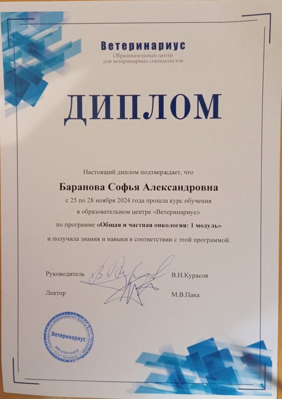 Документ или сертификат