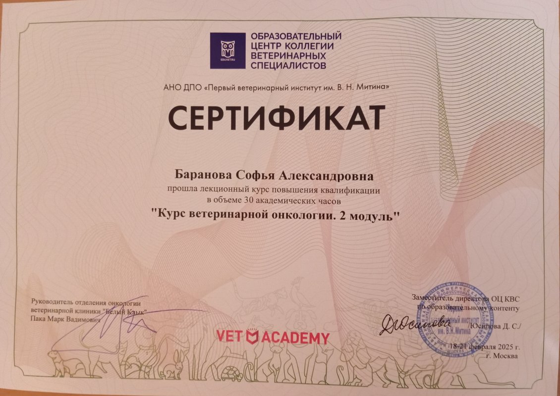 Документ или сертификат