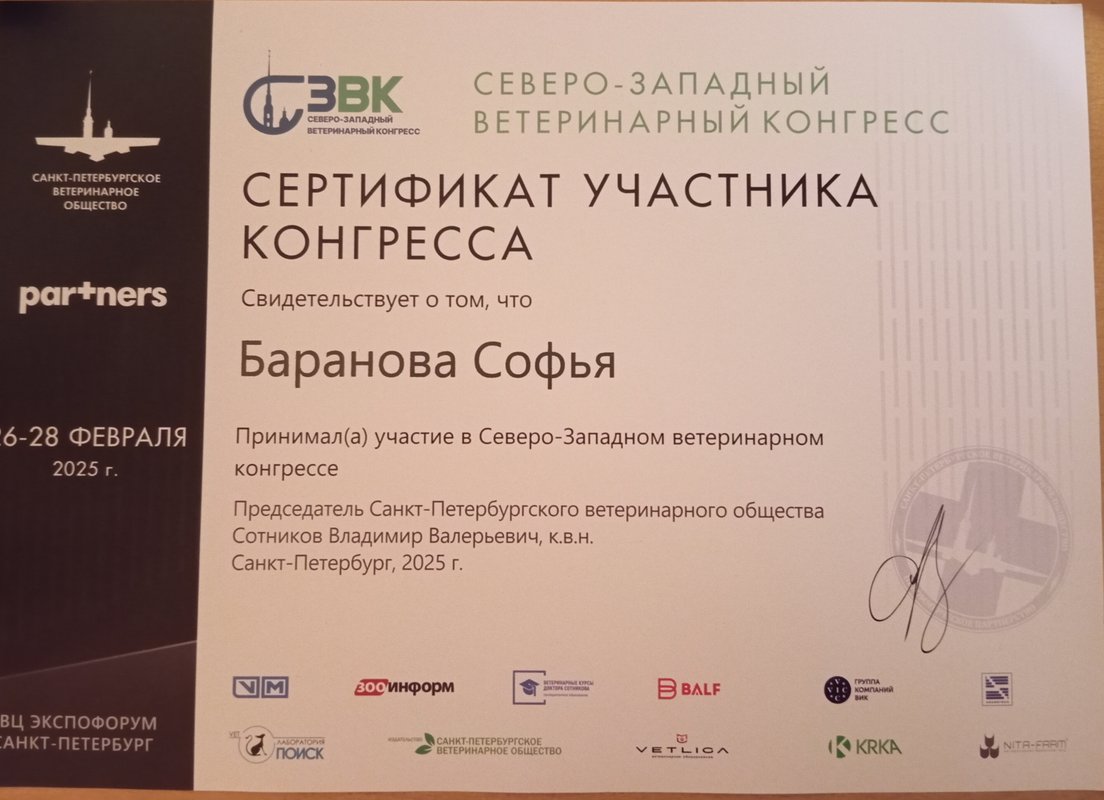Документ или сертификат
