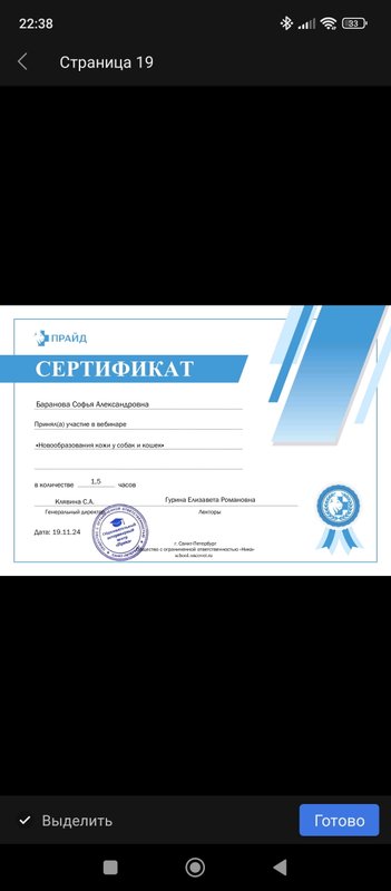 Документ или сертификат