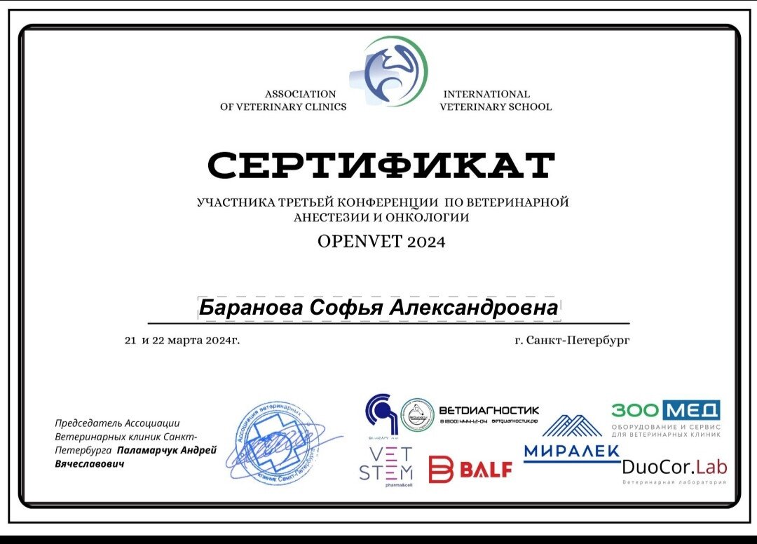 Документ или сертификат