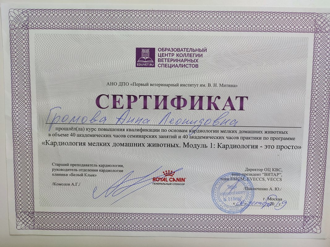 Документ или сертификат