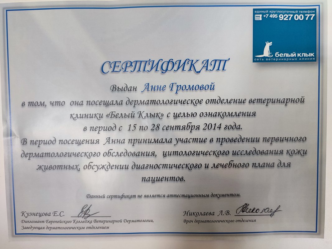 Документ или сертификат
