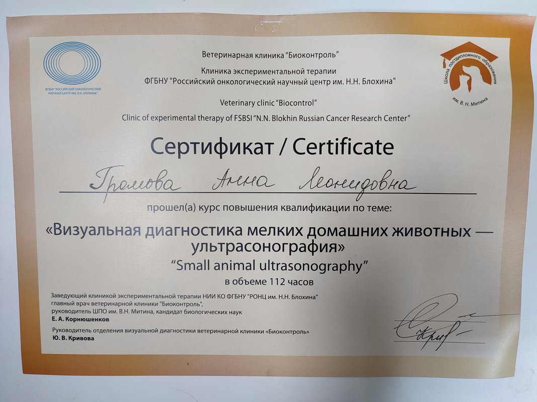 Документ или сертификат