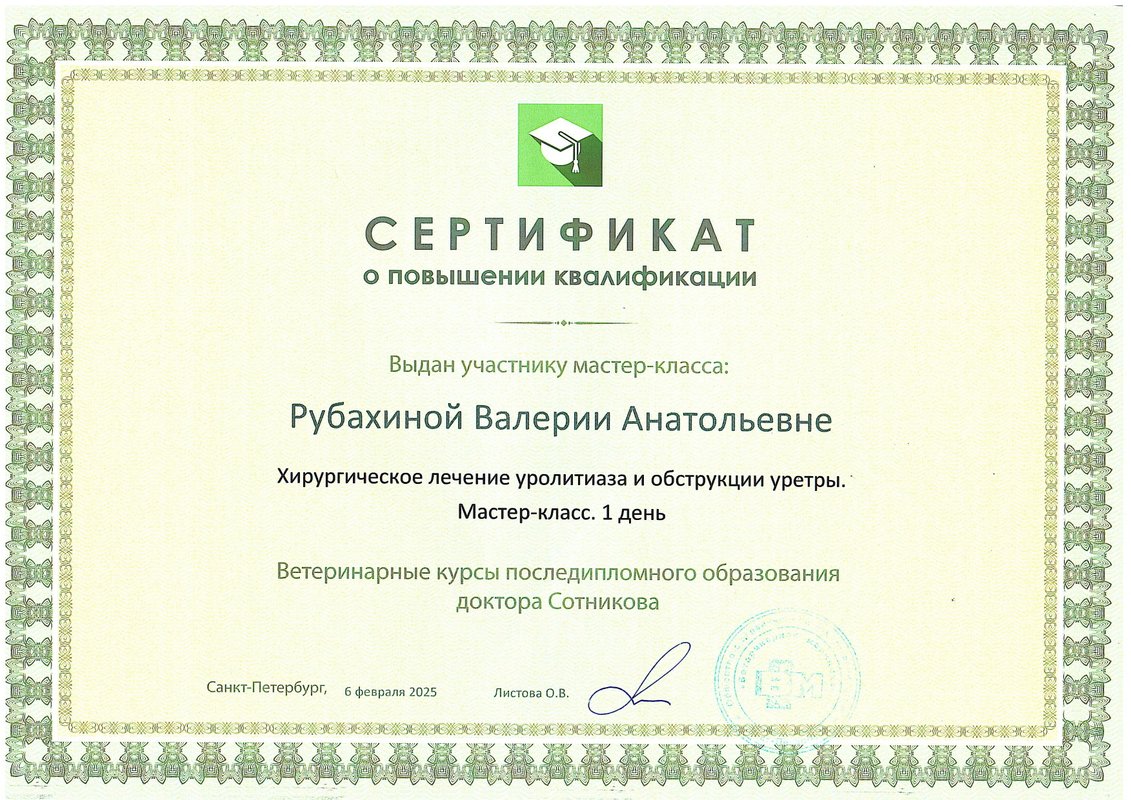 Документ или сертификат