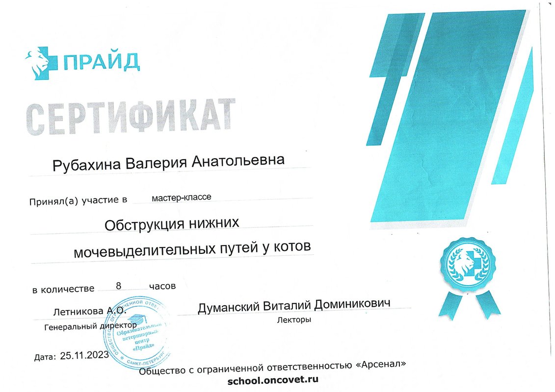 Документ или сертификат
