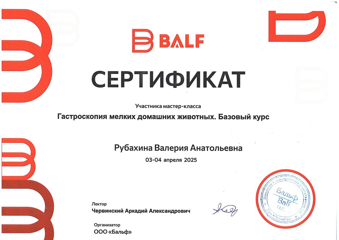 Документ или сертификат