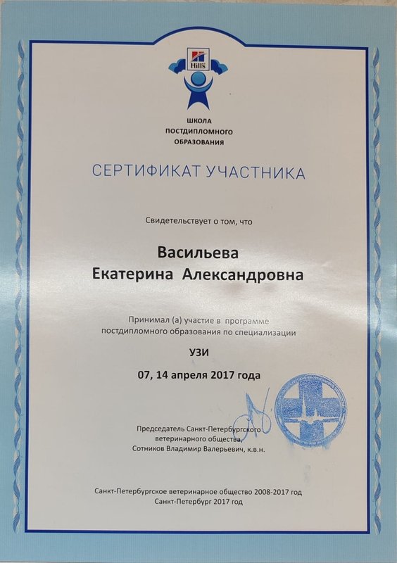 Документ или сертификат