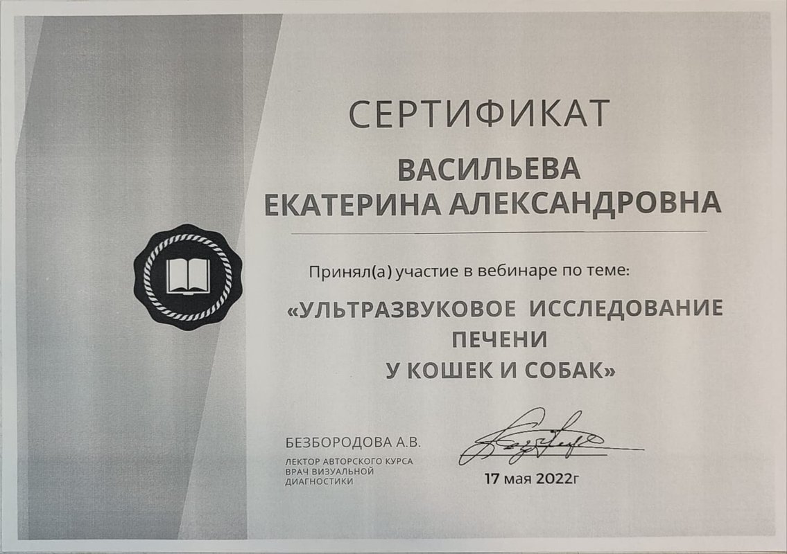 Документ или сертификат