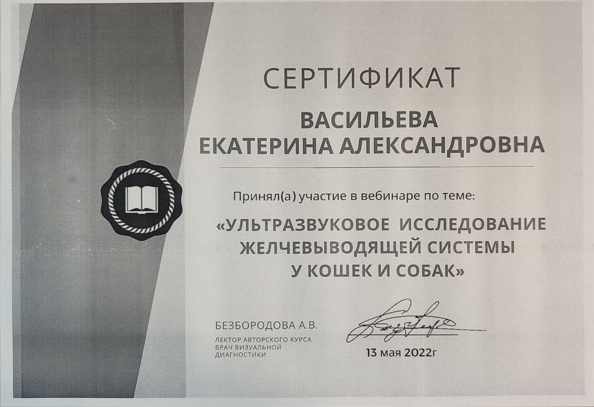 Документ или сертификат