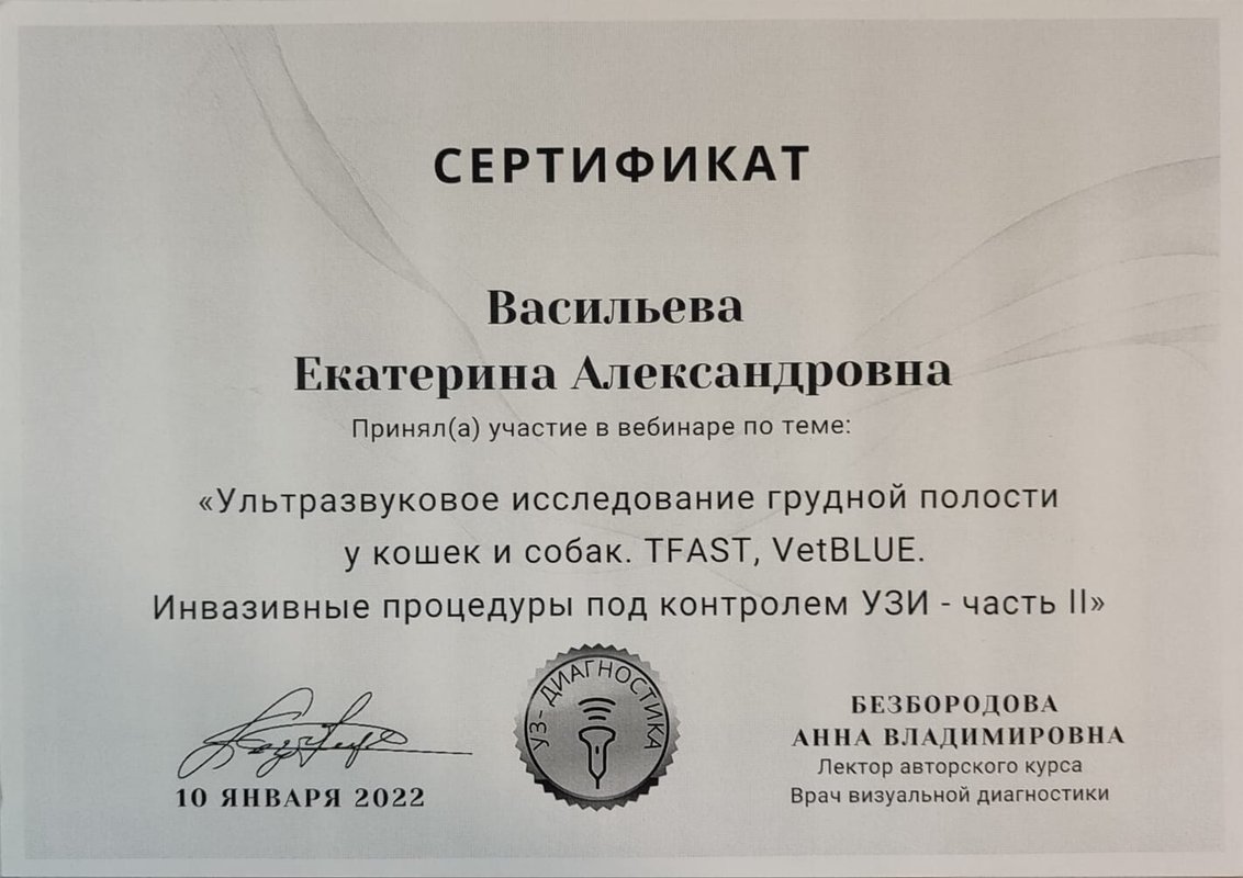 Документ или сертификат