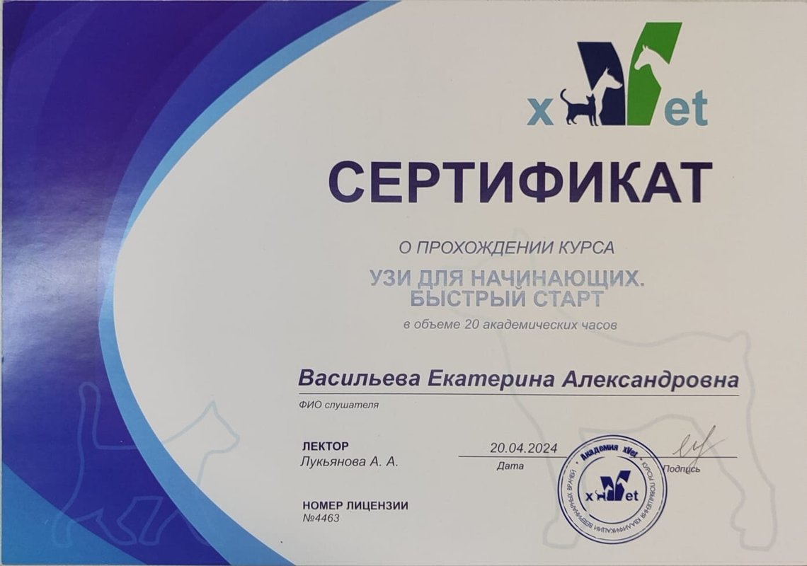 Документ или сертификат