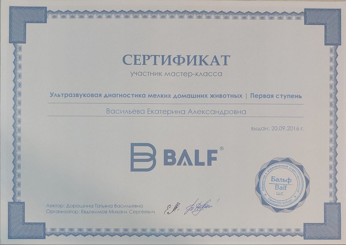 Документ или сертификат