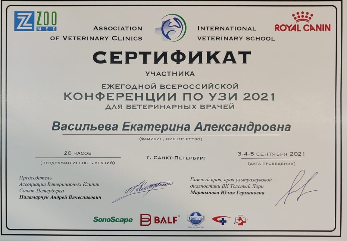 Документ или сертификат