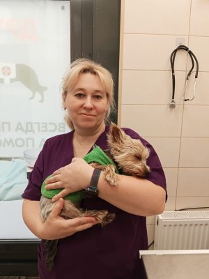 Фото врача Кузнецова Елена Алексеевна