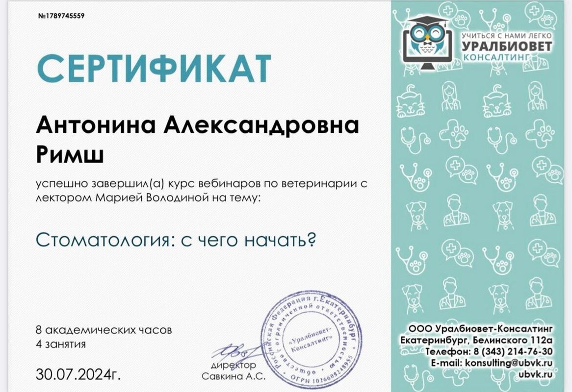 Документ или сертификат