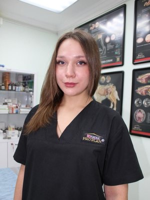Фото врача Воронина Елизавета Дмитриевна