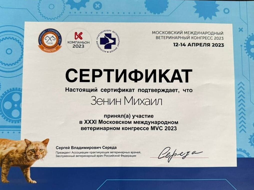 Документ или сертификат