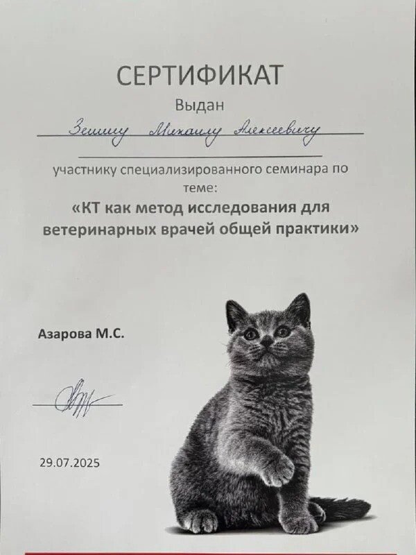 Документ или сертификат