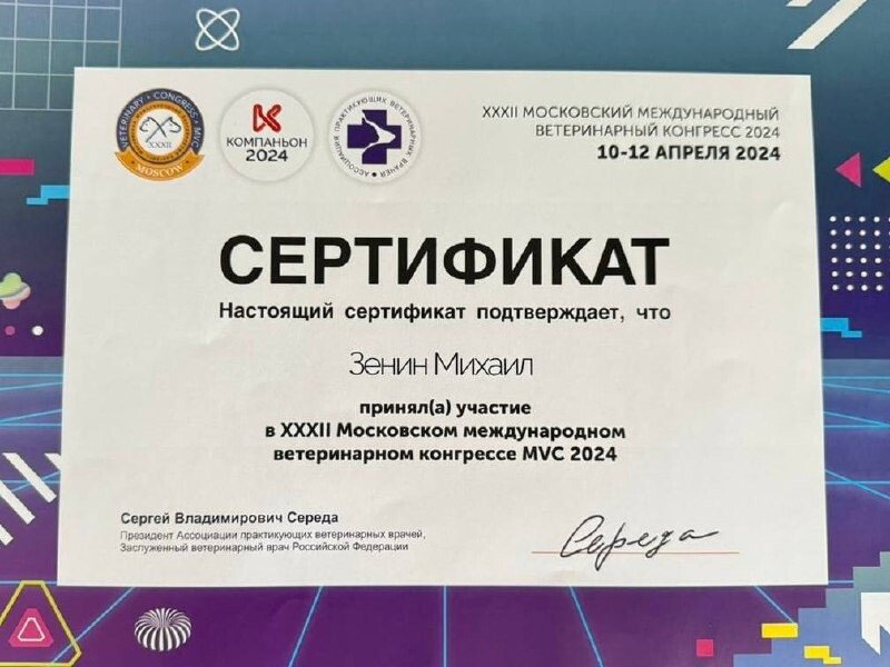 Документ или сертификат
