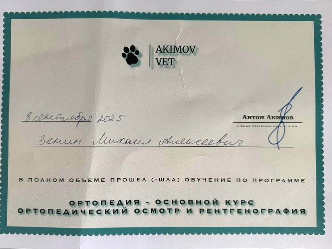 Документ или сертификат