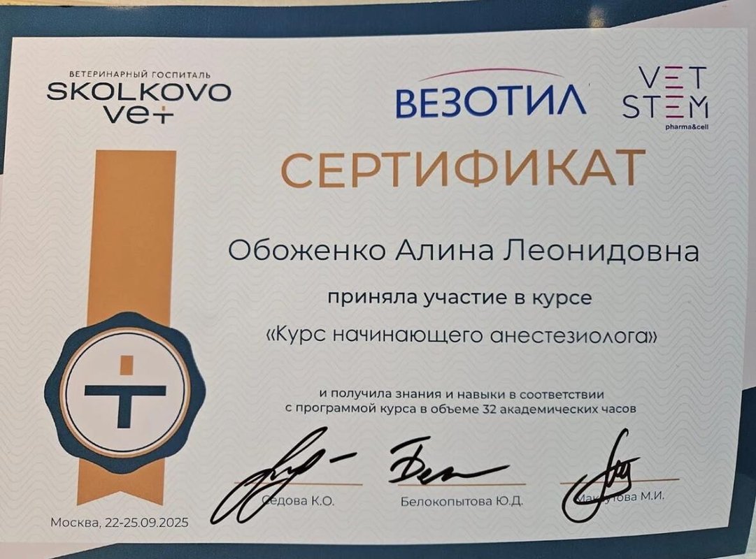 Документ или сертификат