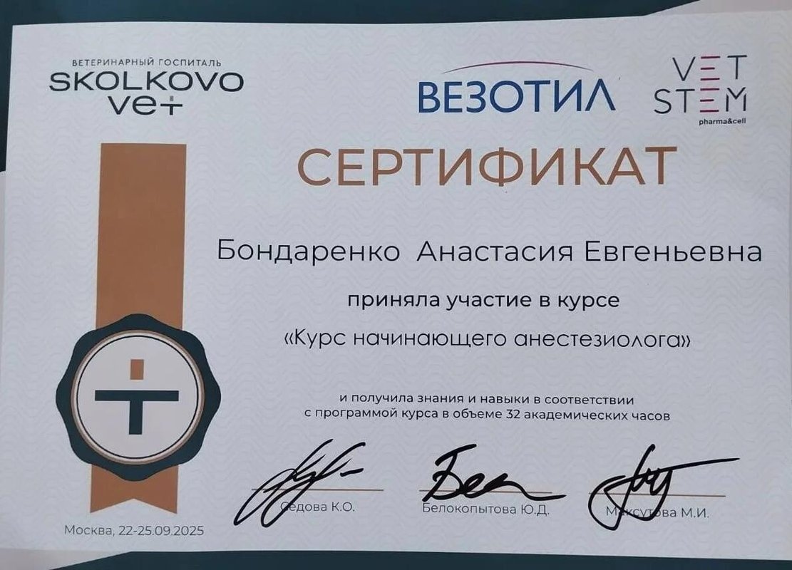 Документ или сертификат