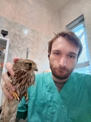 Фото врача Романов Илья Владимирович