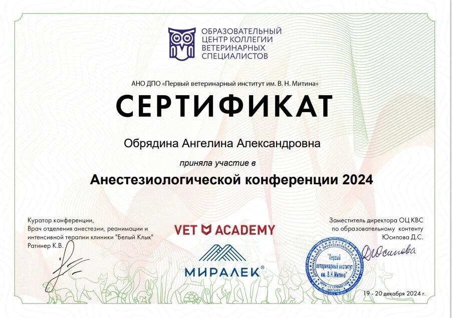 Документ или сертификат