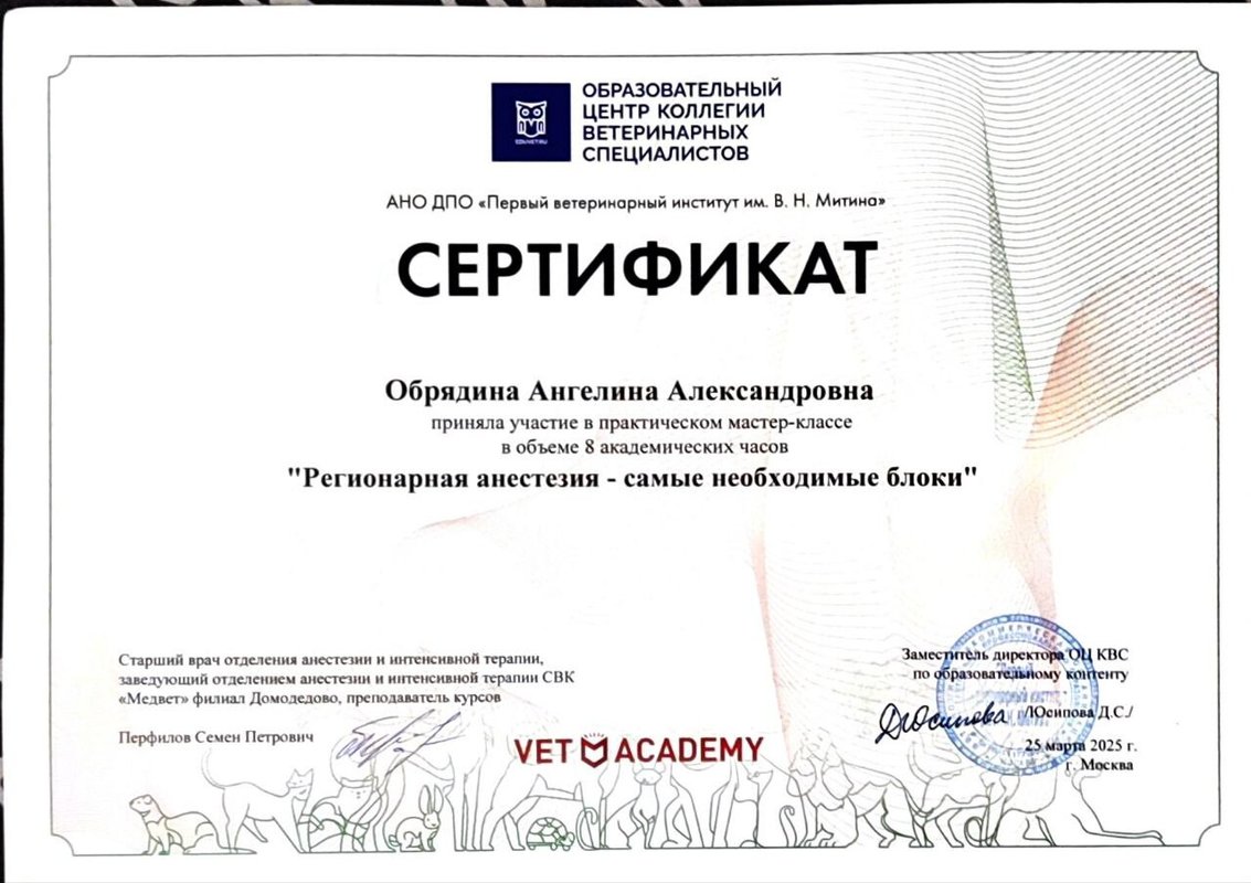 Документ или сертификат