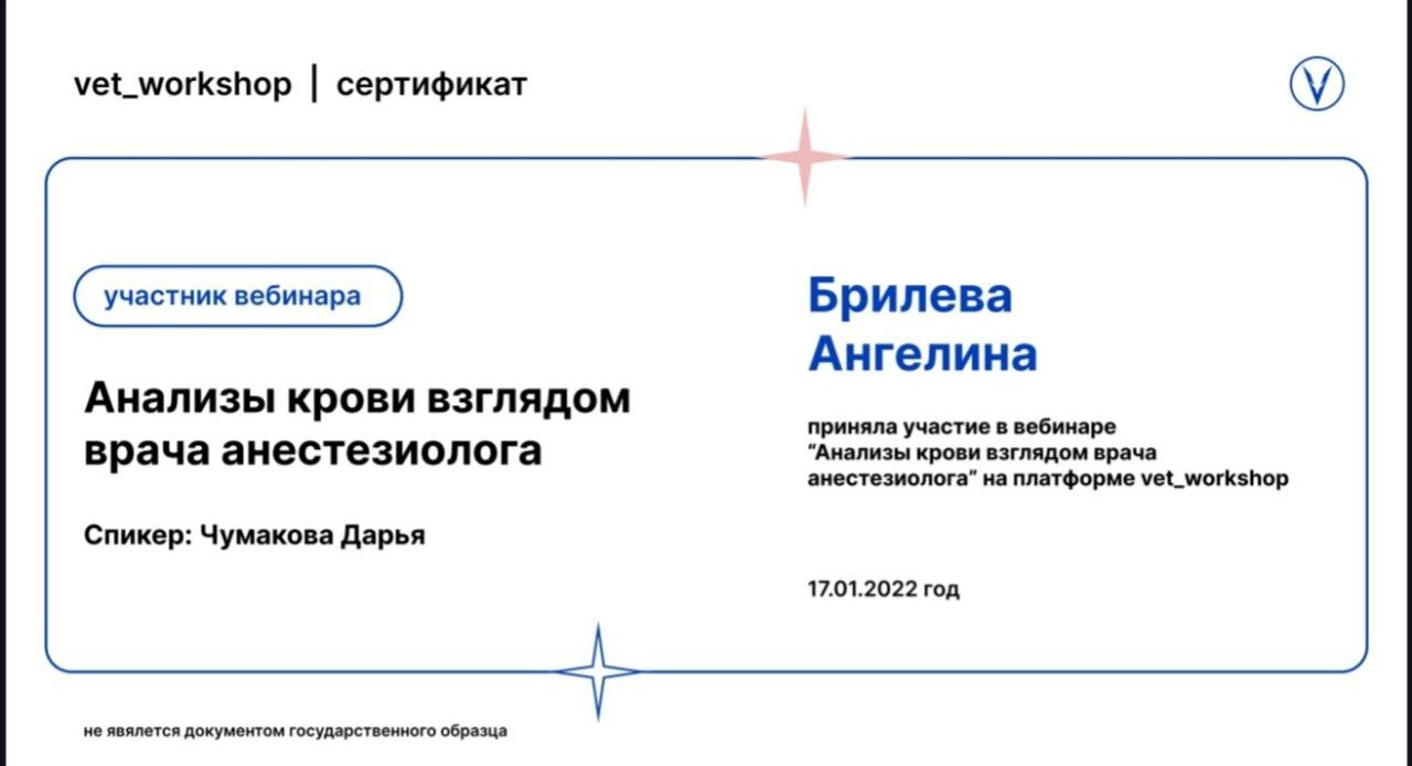 Документ или сертификат