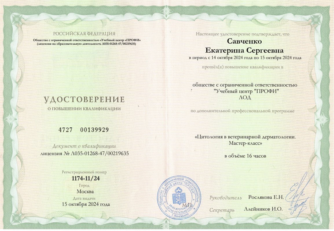 Документ или сертификат