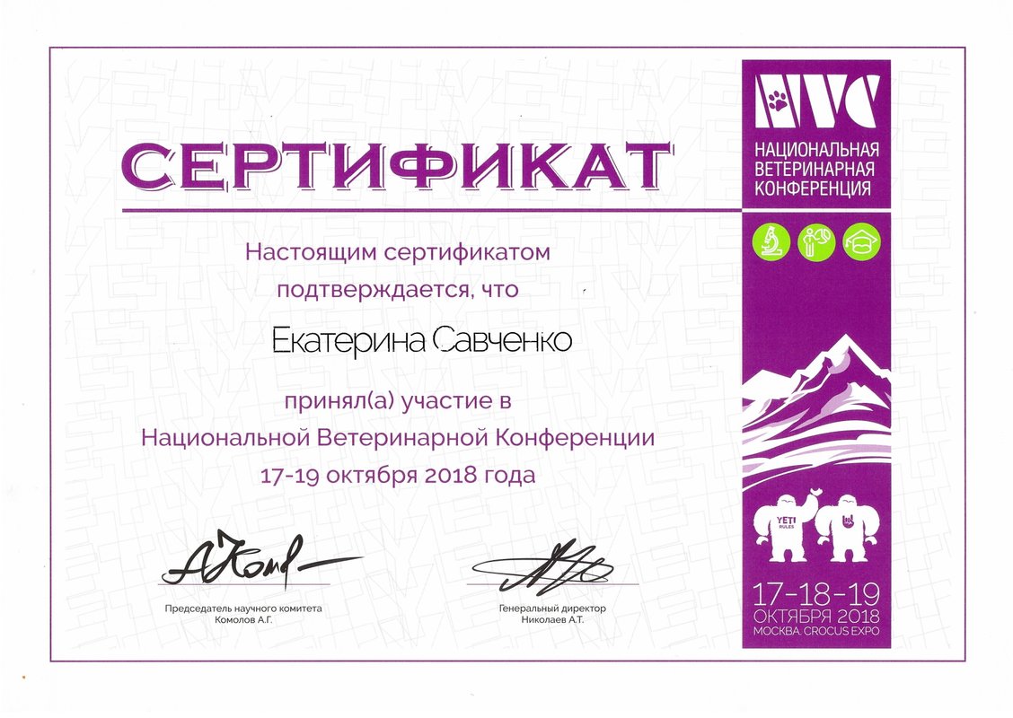 Документ или сертификат